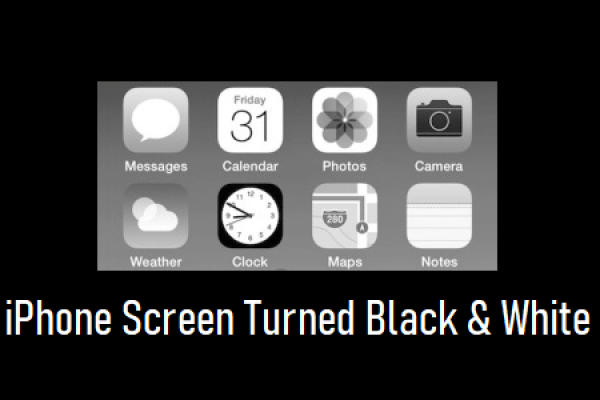 为什么苹果手机变成黑白屏幕了
