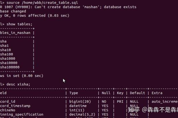 如何利用Shell脚本高效地打开MySQL数据库？