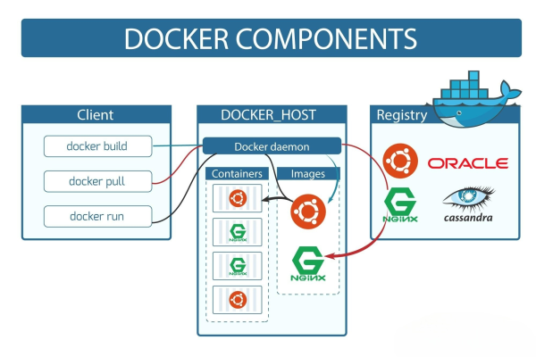 如何在Docker中构建和部署应用程序？