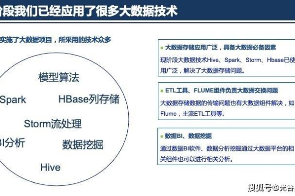 如何有效实施大数据应用管理与数据规划？