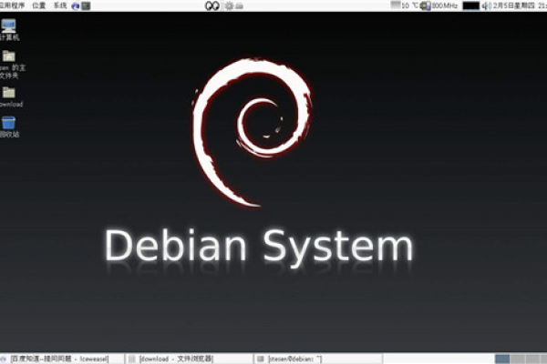 Debian 镜像版与标准版有何不同？