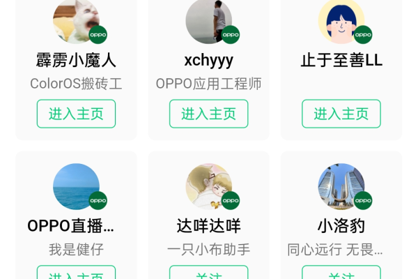 为什么oppo小程序只能加一个