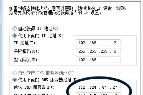 如何在配置中正确填写DNS服务器地址？