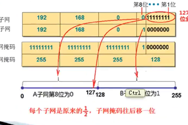 子网掩码是干什么的