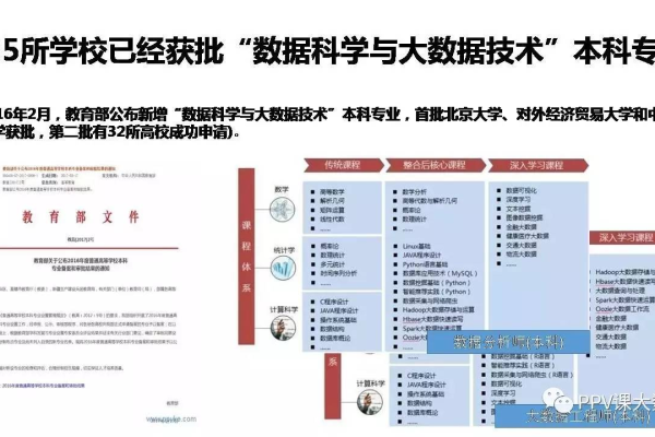 大数据课程实验如何助力我的学术成长？