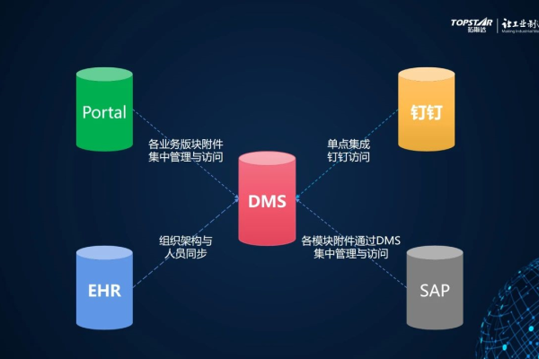 DSS专属存储如何优化企业数据管理？  第1张