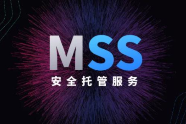 mss是什么意思  第1张