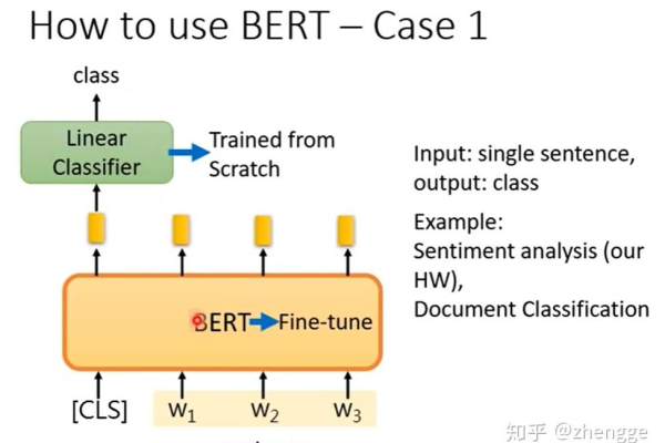 bert是什么意思  第1张