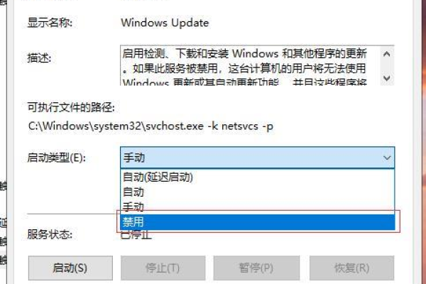 如何阻止Windows 10中的Office自动更新？