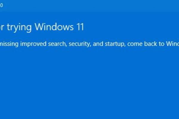 如何在Windows 11中禁用自动系统更新？