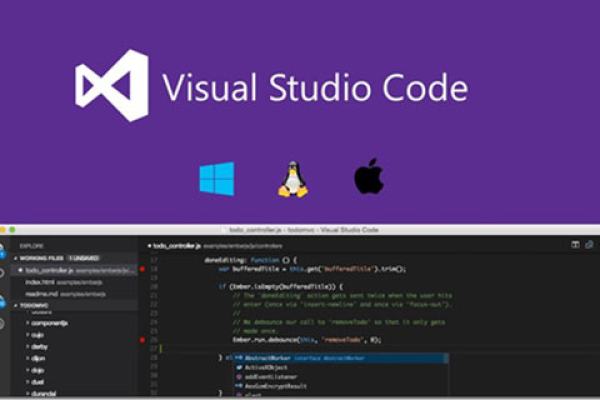 如何在Visual Studio Code中设置中文界面？