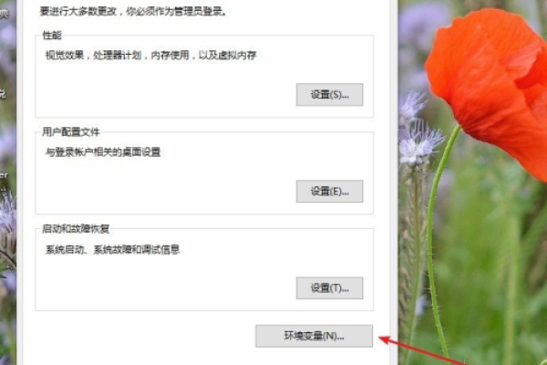如何在Windows 10中访问和修改环境变量设置？