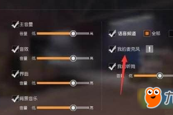 如何解决Windows 10系统中荒野行动游戏的麦克风无声问题？