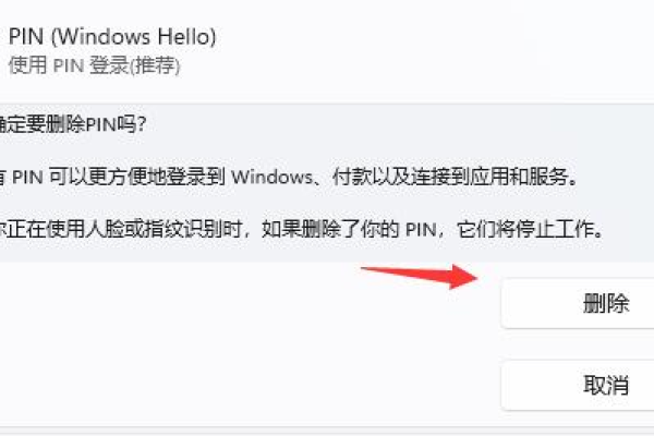 如何应对Windows 11系统中无法删除PIN码的问题？