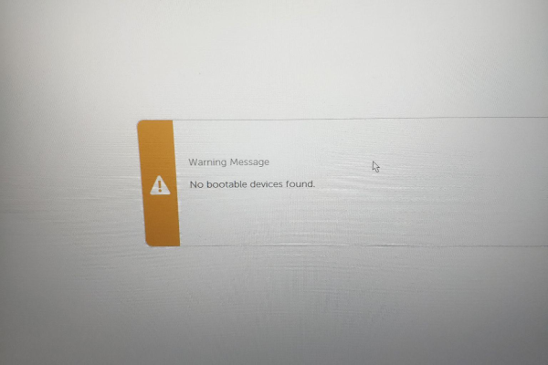 如何解决戴尔电脑Win11系统出现no bootable devices found错误？