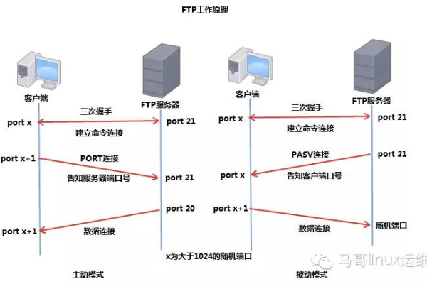 如何利用FTP在云虚拟主机上使用AMH进行网站建设？  第1张