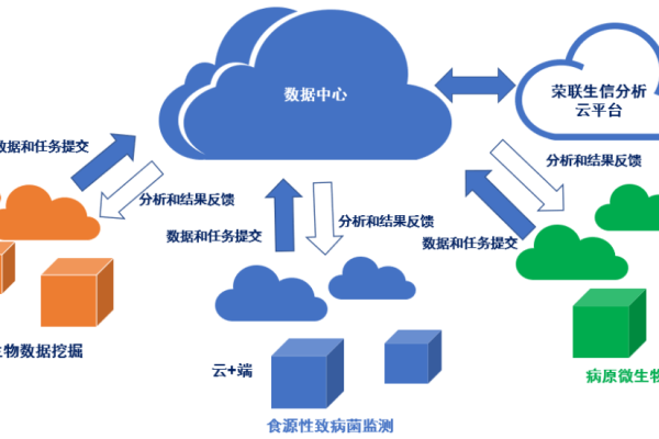 如何利用云计算推动生物医学研究的创新？