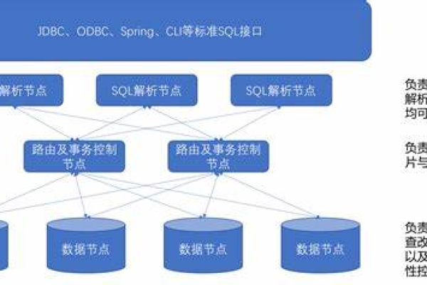 掌握MySQL数据库命令，如何高效运用cmd进行中药信息管理？