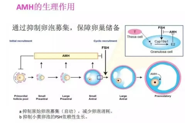 amh怎么建网站_使用AMH建站