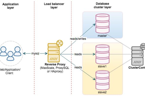 探索MySQL数据库，你需要了解哪些基础知识？