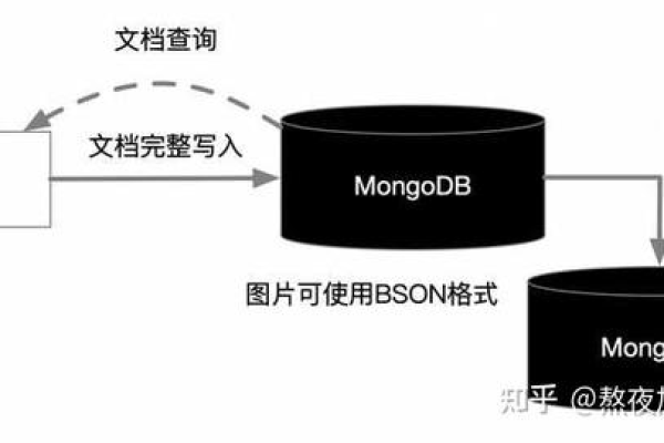 如何有效使用MongoDB连接工具进行数据库管理？