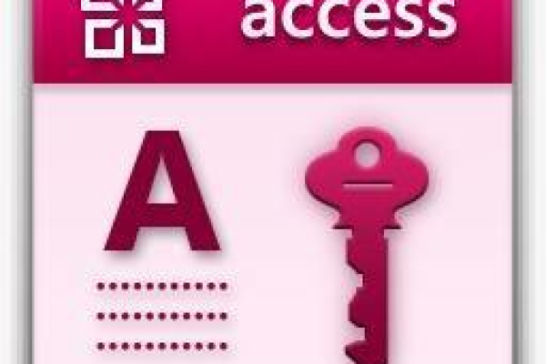 access_ACCESS LOCK  第1张