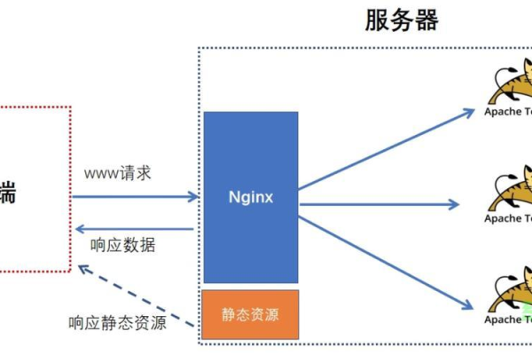 Nginx worker，如何优化服务器性能的关键组件？