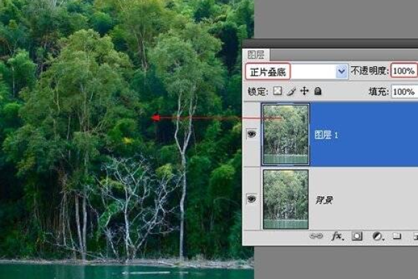 如何利用Photoshop进行照片后期的综合调整？  第1张