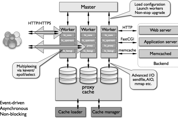 探索Nginx，如何利用其高级功能来优化Web服务器性能？