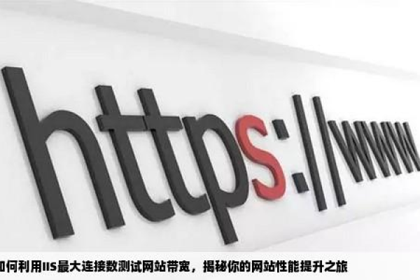 如何通过IIS连接数实验优化Web开发性能？