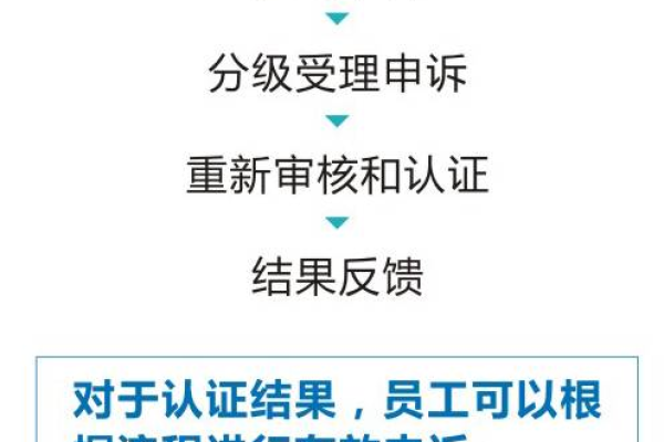 如何确保内容视频审核规则的公正性与一致性？