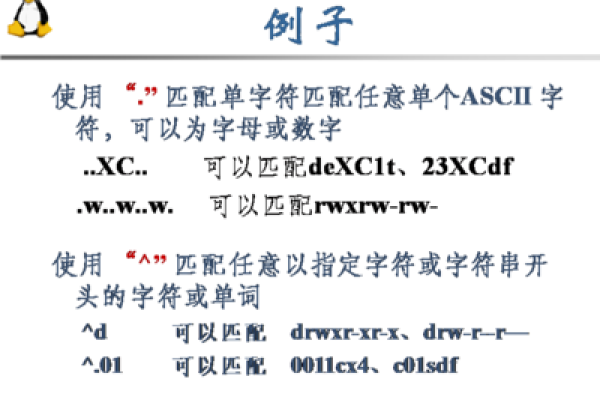 如何使用正则表达式精确匹配字符串中的数字？