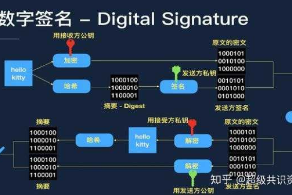 数字签名算法在网络安全中扮演什么角色？