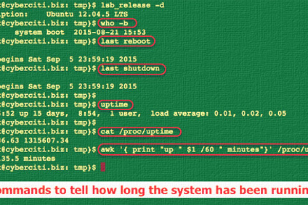 如何使用uptime命令来检查Linux系统的运行时间？