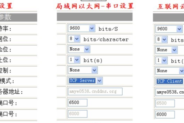 如何确定正确的域名解析服务器地址？