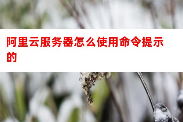 如何通过云服务器访问命令提示符界面？