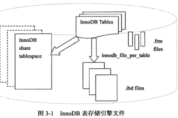 ibdata1文件在InnoDB存储引擎中扮演什么角色？