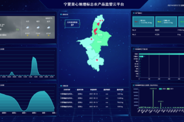 宁夏管局对云数据库有哪些具体要求？