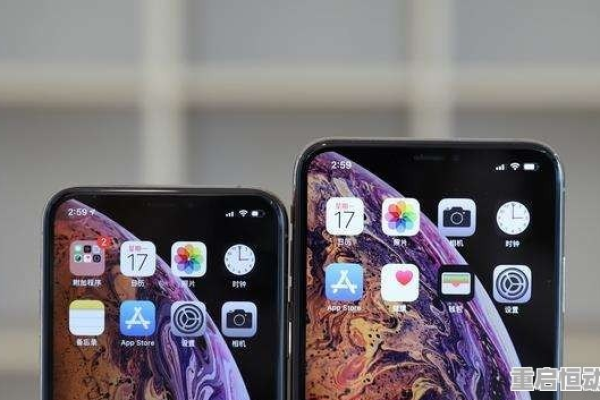 iphonexr为什么下载软件要钱