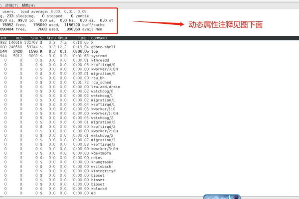 如何有效使用pgrep命令来查找进程？