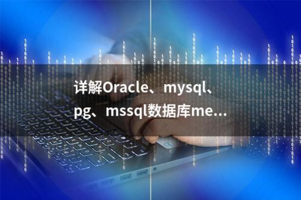 如何在Perl语言中实现对MSQL和MySQL数据库的存取操作？