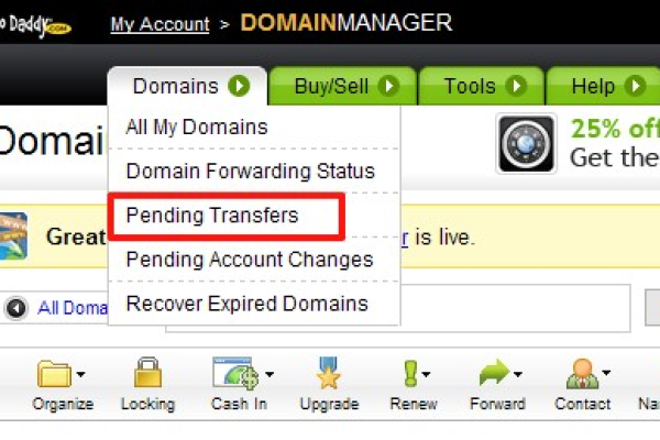 如何批量获取GoDaddy域名转移码？  第1张