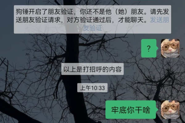 为什么会有人把你删掉  第1张