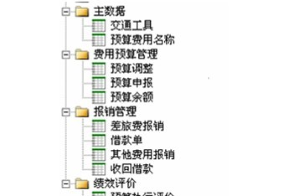 网站服务器费用应如何会计处理？