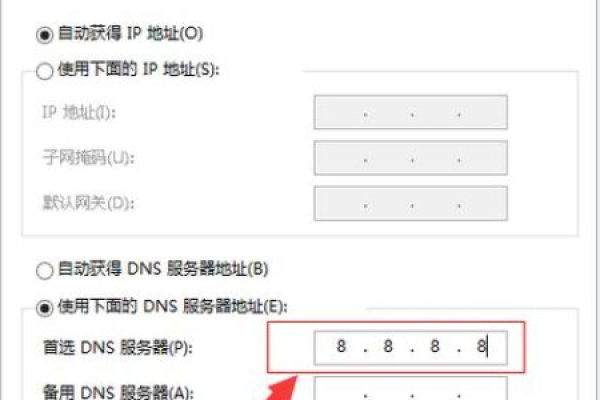 如何正确设置DNS服务器地址以优化网络连接？