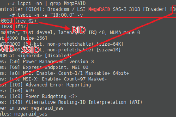 如何利用‘lspci’命令来查看Linux系统中的PCI设备信息？