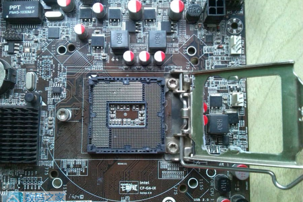 H61主板兼容哪些服务器CPU？