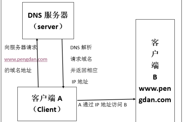 如何在域服务器上设置DNS？详细步骤解析！