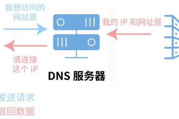 DNS服务器与IP地址，它们之间的联系是什么？