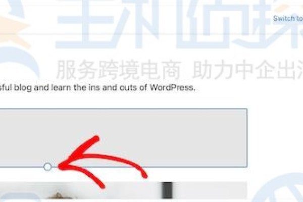 如何解决WordPress前台显示空白的问题？